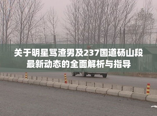 关于明星骂渣男及237国道砀山段最新动态的全面解析与指导