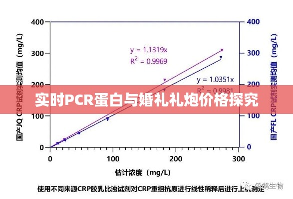 实时PCR蛋白与婚礼礼炮价格探究
