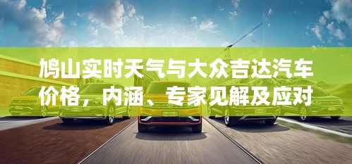 鸠山实时天气与大众吉达汽车价格，内涵、专家见解及应对指南