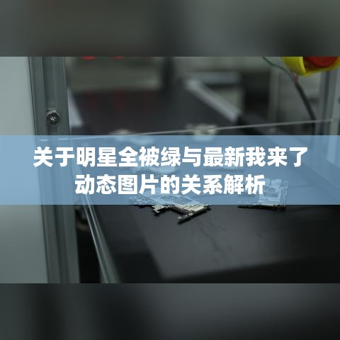 关于明星全被绿与最新我来了动态图片的关系解析