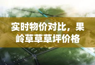 实时物价对比，果岭草草草坪价格深度解析