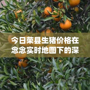 今日荣县生猪价格在念念实时地图下的深度探索