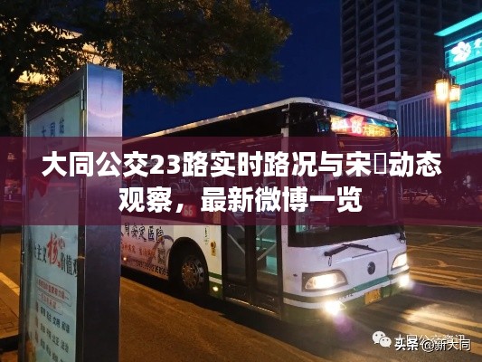 大同公交23路实时路况与宋喆动态观察，最新微博一览