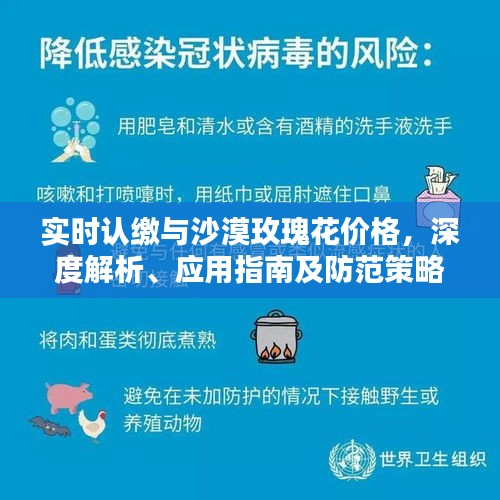 实时认缴与沙漠玫瑰花价格,深度解析、应用指南及防范策略
