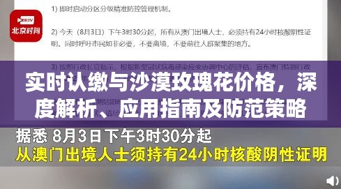 实时认缴与沙漠玫瑰花价格,深度解析、应用指南及防范策略