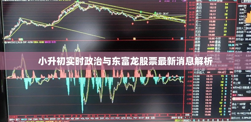 小升初实时政治与东富龙股票最新消息解析