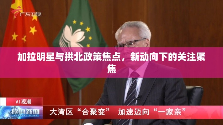 加拉明星与拱北政策焦点,新动向下的关注聚焦