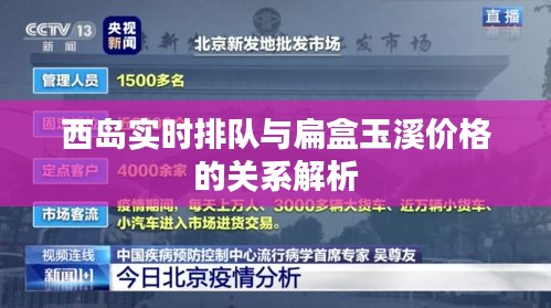西岛实时排队与扁盒玉溪价格的关系解析