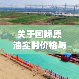 关于国际原油实时价格与最新电视剧古装穿越剧的分析探讨