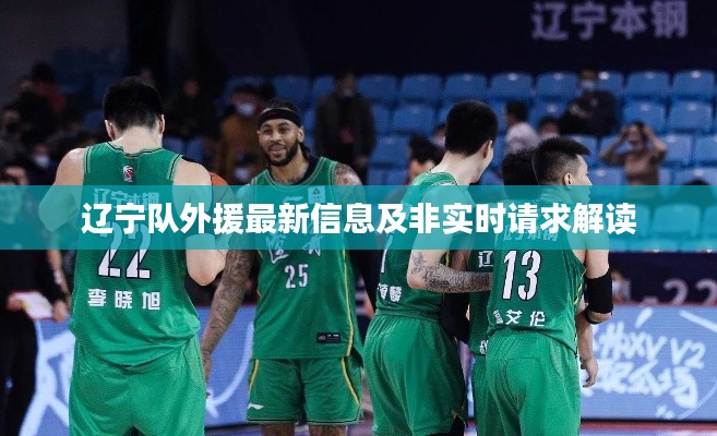 辽宁队外援最新信息及非实时请求解读