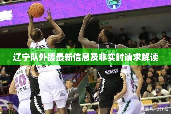 辽宁队外援最新信息及非实时请求解读