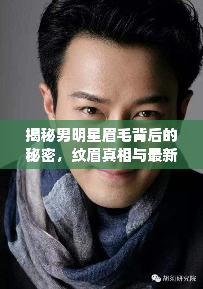 揭秘男明星眉毛背后的秘密，纹眉真相与最新潮流社区探索