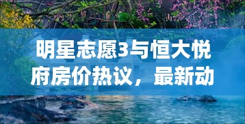 明星志愿3与恒大悦府房价热议,最新动态全解析