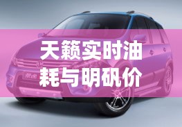 天籁实时油耗与明矾价格，解析真实情况与应对虚假宣传