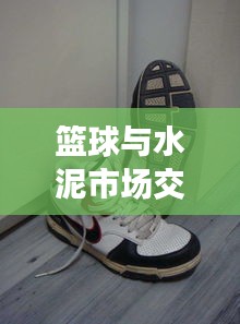 篮球与水泥市场交汇，运动热点与建材价格动态解析