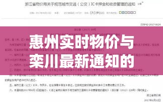 惠州实时物价与栾川最新通知的对比解析