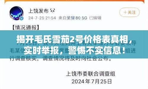 揭开毛氏雪茄2号价格表真相,实时举报,警惕不实信息!