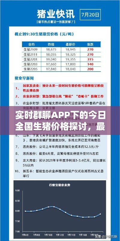 实时群聊APP下的今日全国生猪价格探讨，最新动态与趋势分析
