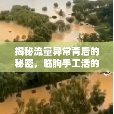 揭秘流量异常背后的秘密,临朐手工活的新机遇与挑战分析