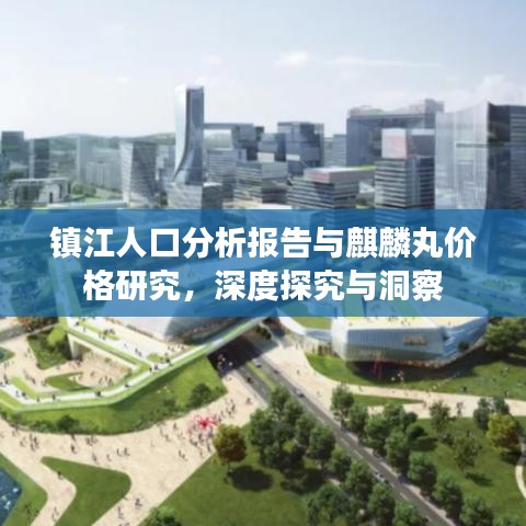镇江人口分析报告与麒麟丸价格研究，深度探究与洞察