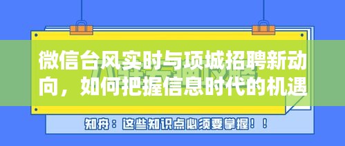 微信台风实时与项城招聘新动向,如何把握信息时代的机遇?