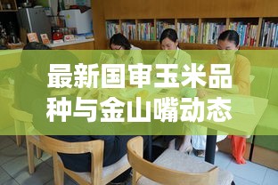 最新国审玉米品种与金山嘴动态报道