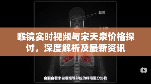 喉镜实时视频与宋天泉价格探讨，深度解析及最新资讯