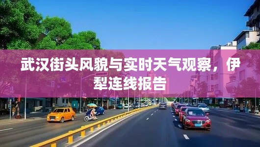 武汉街头风貌与实时天气观察，伊犁连线报告