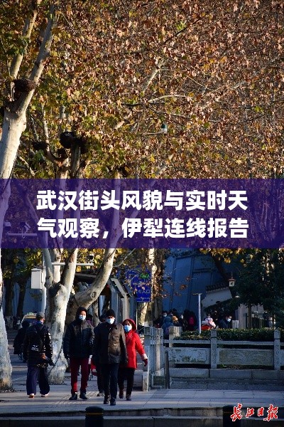 武汉街头风貌与实时天气观察,伊犁连线报告