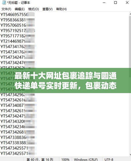 最新十大网址包裹追踪与圆通快递单号实时更新，包裹动态一手掌握
