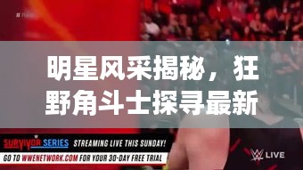 明星风采揭秘,狂野角斗士探寻最新一期节目中的表演之星