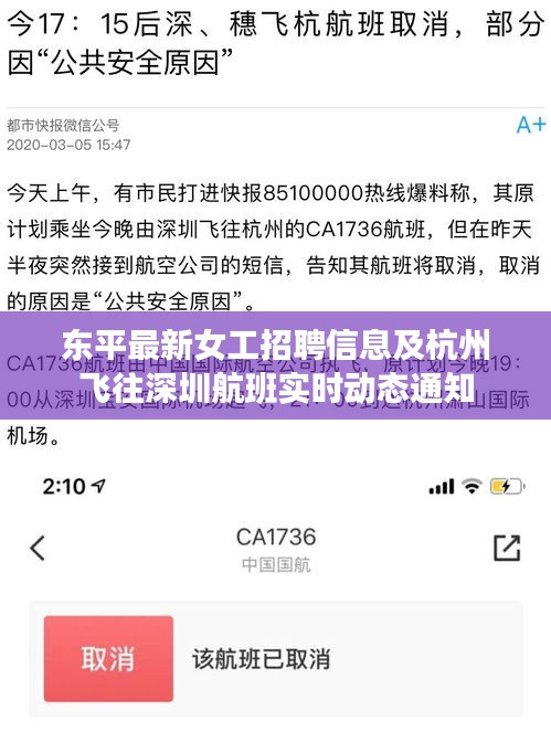 东平最新女工招聘信息及杭州飞往深圳航班实时动态通知