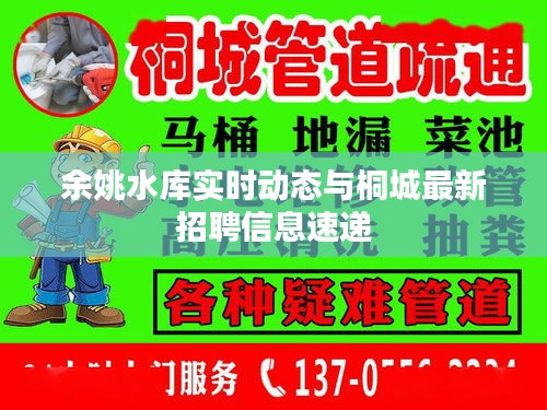 余姚水库实时动态与桐城最新招聘信息速递