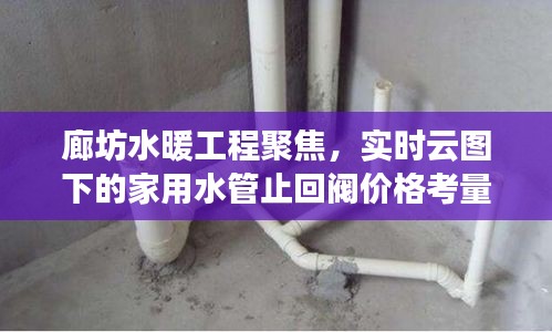 廊坊水暖工程聚焦,实时云图下的家用水管止回阀价格考量
