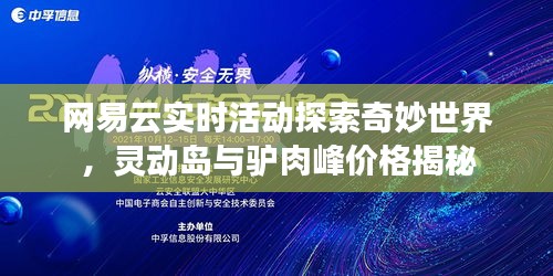网易云实时活动探索奇妙世界,灵动岛与驴肉峰价格揭秘