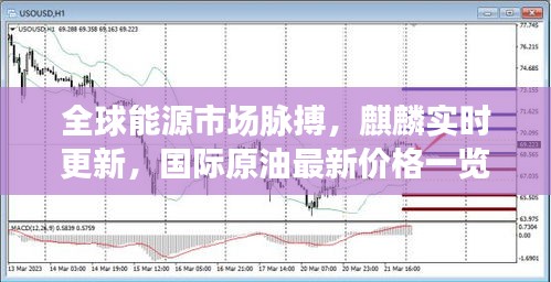 全球能源市场脉搏，麒麟实时更新，国际原油最新价格一览