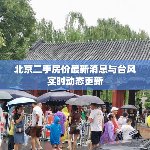 北京二手房价最新消息与台风实时动态更新