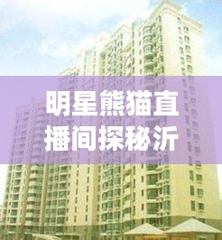 明星熊猫直播间探秘沂源新楼盘的独特魅力