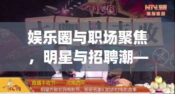 娱乐圈与职场聚焦，明星与招聘潮——165cm明星与辉县C1司机招聘动态