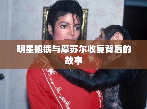 明星抱鹅与摩苏尔收复背后的故事
