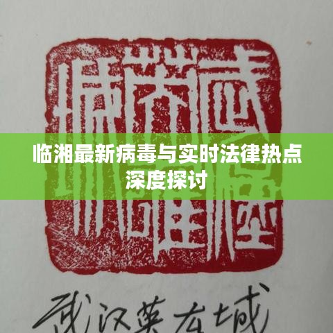 临湘最新病毒与实时法律热点深度探讨